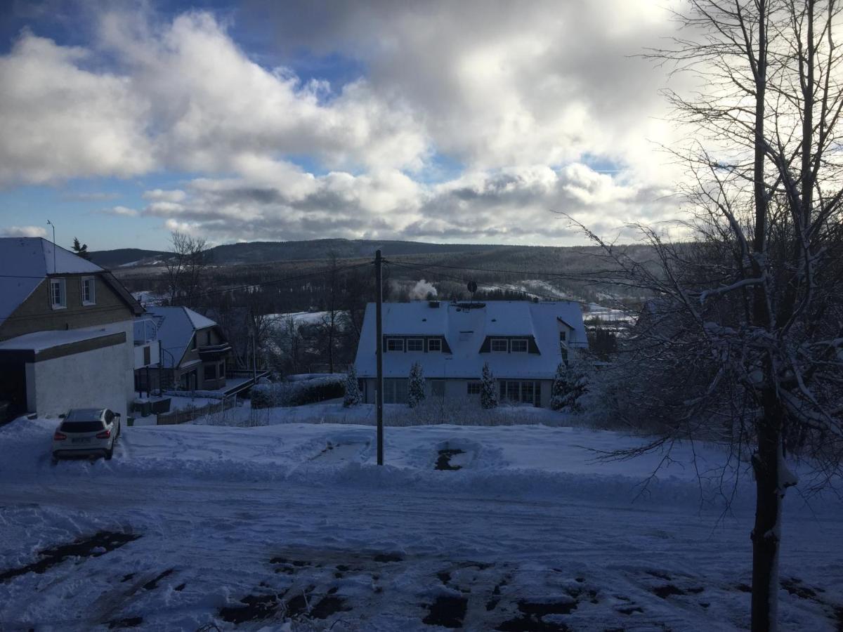 Berghaus Winterberg Hotell Eksteriør bilde