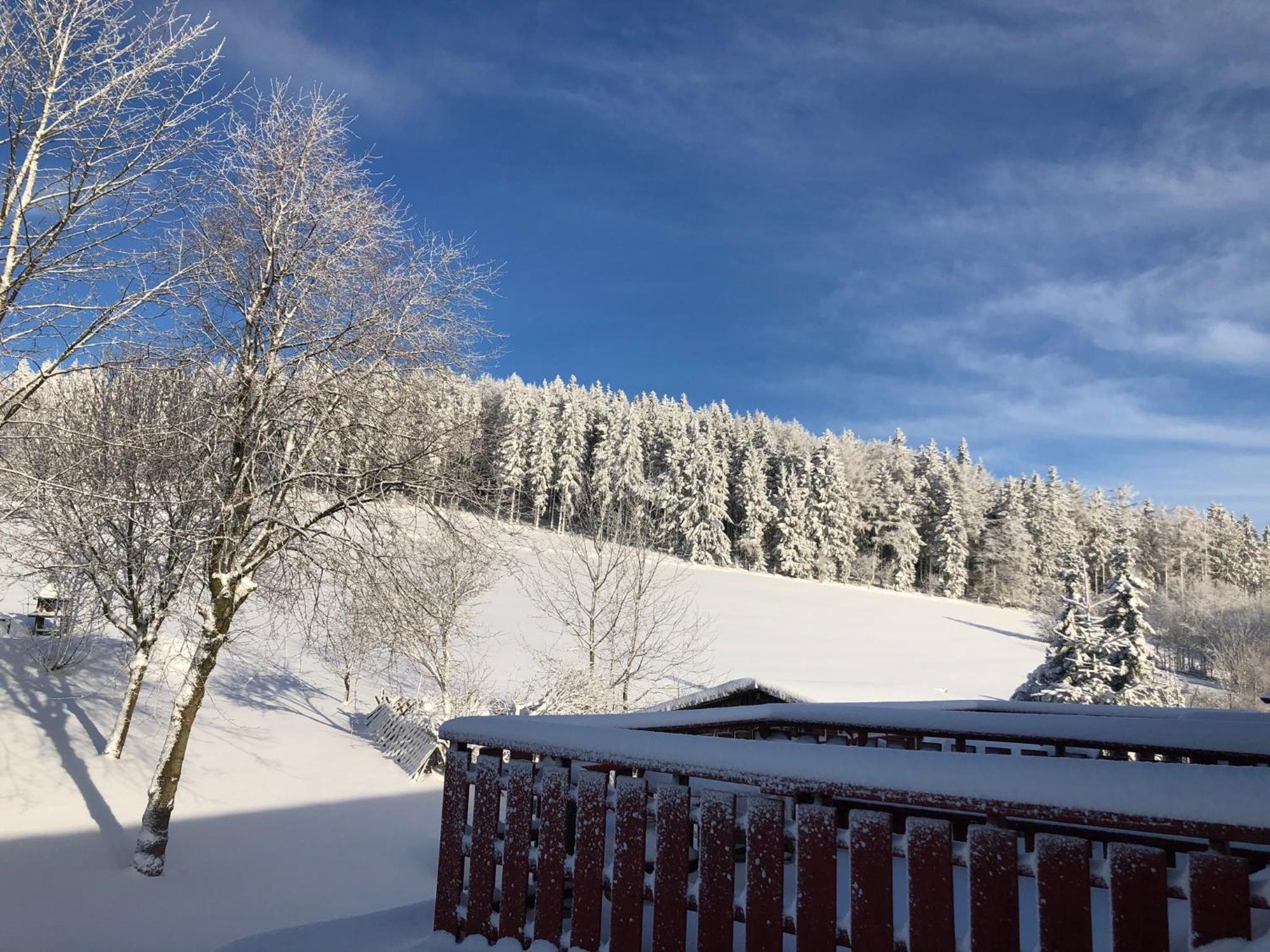 Berghaus Winterberg Hotell Eksteriør bilde